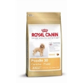 Royal Canin Pudel Adult  / (Variante) 1,5 kg