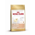 Royal Canin Labrador Retriever Junior  / (Variante) 3 kg