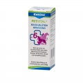 Canina Pharma Petvital Bachblüten Nr. 6 - Verlust 10g