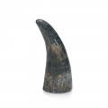 Viking Whole Horn  / (Variante) M