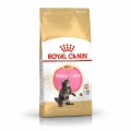 Royal Canin Feline Kitten Maine Coon 36  / (Variante) 400 g