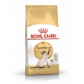 Royal Canin Siamese