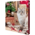 Trixie Adventskalender für Katzen