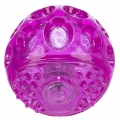 Trixie Blink-Ball aus TPR  / (Variante) 5,5 cm