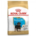 Royal Canin Rottweiler 31 Junior  / (Variante) 12 kg